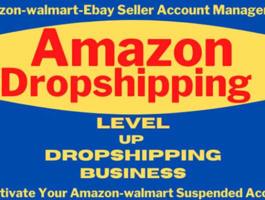 Amazon Dropshipping Incude Suspention (1)